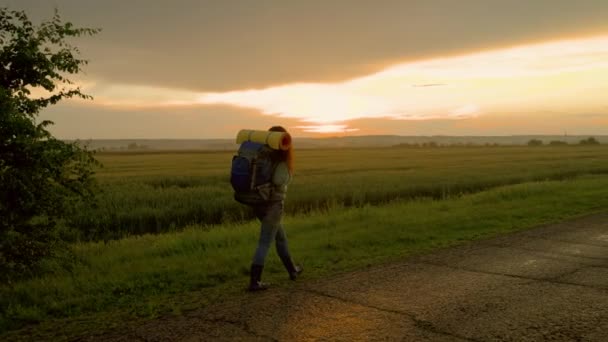 Mujer caucásica sana activa con mochila camina a lo largo de la carretera en los rayos de la puesta del sol. Mujer joven viajero senderismo en la naturaleza de verano. El viajero viaja por el campo, meditación, ecoturismo, senderismo. — Vídeo de stock