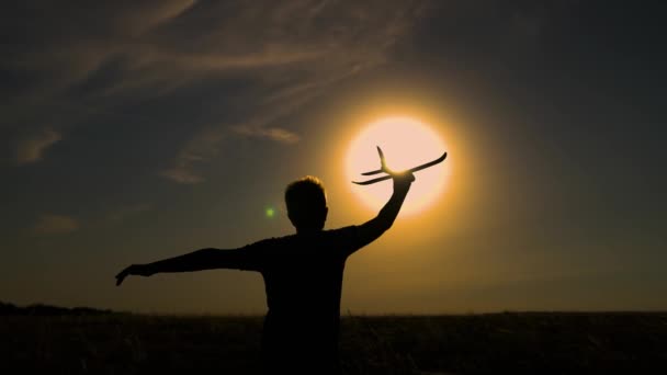 Criança feliz, garoto, corre ao sol brincando com um avião de brinquedo no campo de verão. O miúdo corre com um avião de brincar. A família feliz está a brincar no parque. Filho sonha em voar. Criança despreocupada brincando ao ar livre — Vídeo de Stock