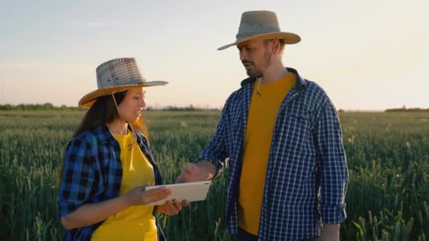 Conceito de negócio agrícola. Dois empresários, homem e mulher, apertem as mãos com força. Combinado. Um agricultor e um empresário falam no campo de trigo, fazem um acordo, usam uma tábua. A cultivar comida. companheiros de trabalho — Vídeo de Stock