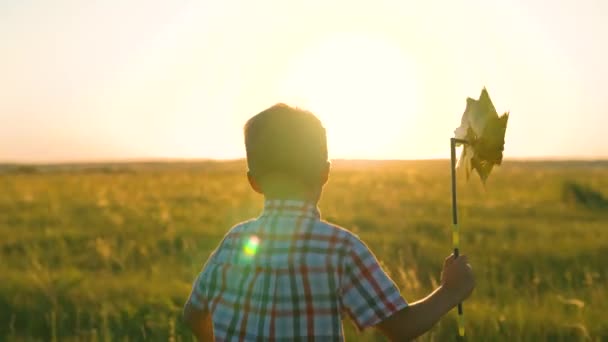 Lilla pojken springer med leksaksvindturbinen i handen på sommarfältet vid solnedgången. Familj semester i naturen. Glad unge leker med leksakshjul utomhus i vårparken i solsken. Barndom, barn — Stockvideo