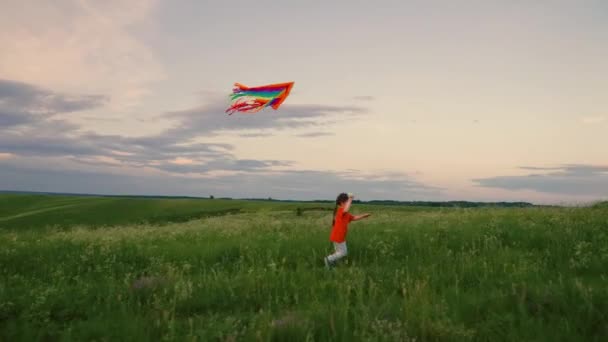 Kind spielt bei Sonnenuntergang im Park mit Spielzeug im Freien Glückliches Kind, Mädchen mit Drachen in der Hand, läuft im Sommer über das Feld auf grünem Gras. Glückliche Familie, Kinderträume. Gesundes Kind spielt in der Natur — Stockvideo