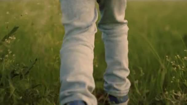 Picioarele unui copil fericit aleargă de-a lungul drumului în iarba verde. Un băieţel fericit, o fată care visează în natură. Fantezii pentru copii. Copil fericit alergând prin câmpul de flori la apusul soarelui. O familie fericită — Videoclip de stoc