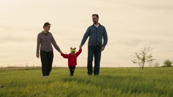 Papa und Mutti spielen auf dem Feld, das Kind hält die Eltern an den Händen. Glückliche Familienspaziergänge im Park halten Händchen im Sommer bei Sonnenuntergang. Teamwork. Glückliche Kindheit, familiäre Erziehung — Stockvideo