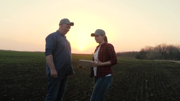 Zemědělský obchod. Farmáři, žena pracuje v terénu s tabletovým počítačem. Podnikatelé si potřásají rukama na slunci, týmová práce. Podnikatelé se dohodnou. Zemědělství. Podnikatelé si podávají ruce. venku — Stock video