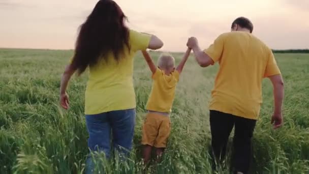 Mami, táta a syn si hrají na poli se zelenou pšenicí, šťastné dítě drží rodiče za ruce a skáče. Šťastná rodina se drží za ruce na jaře, v létě. Týmová práce. Rodinný víkend — Stock video