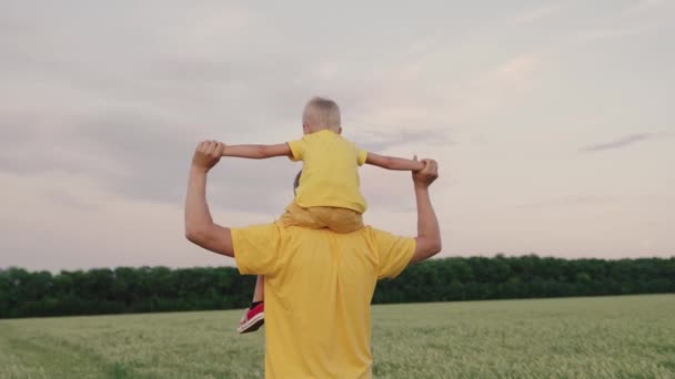 爸爸和他的儿子一起玩，夏天在田里替他心爱的孩子扛肩膀。快乐的家庭在公园里玩耍。父亲抱着孩子走路，举起胳膊，像飞机一样飞翔. — 图库视频影像