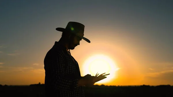 Silhouette, vecchio agricoltore senior con tablet digitale che lavora nel campo, smart farm nel campo del grano. L'agricoltore è impegnato nella coltivazione del grano. Affari agricoli. Uomo d'affari che lavora nel settore — Foto Stock