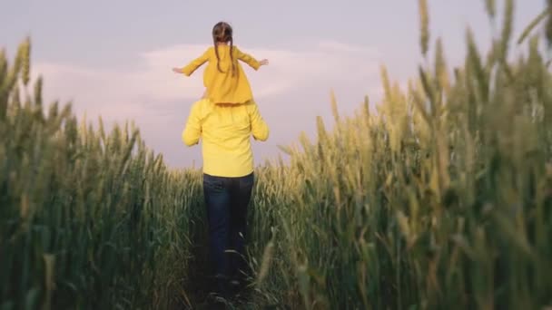 Gelukkig kind, vader speelt in tarwerijpingsveld. Kleine dochter op de schouders van haar vader speelt als een vliegtuig. Dochter, papa reist door het veld. Kind, ouder in de natuur. Familie, jeugd — Stockvideo