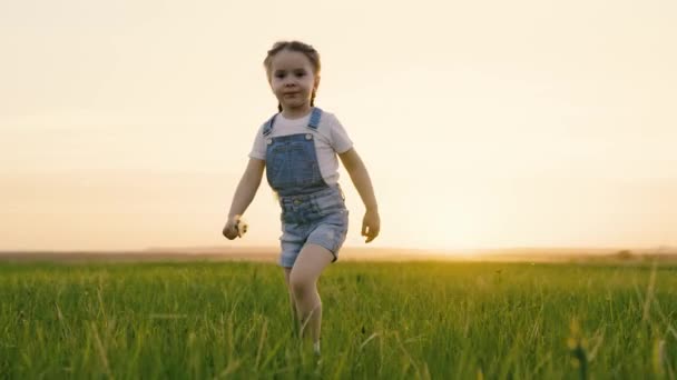 Gelukkig kind, meisje loopt op groen gras in het park, verzamelt bloemen op het veld, Kid glimlacht. Gezonde buitenspelen voor kinderen. Een kinderdroom. Mijn dochter heeft plezier buiten. Gelukkig gezin, kindertijd — Stockvideo