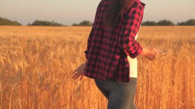 Buğday tarlasında tabletle çalışan çiftçi kadın. Tarlada buğday hasadını inceleyen tabletli bir tarım uzmanı. İş kadını tahıl hasadını analiz ediyor. tahıl hasatı tarımsal iş.