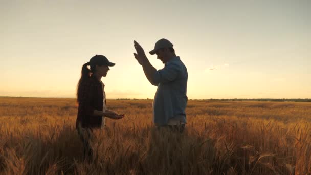 Mutlu iş adamları, çiftçi, erkek ve kadın buğday tarlasında birbirlerini selamlıyorlar. - Anlaştık. Çiftçiler ve tarımcılar konuşuyor, güneşin altındaki buğday tarlasında iyi bir tahıl hasadının tadını çıkarıyorlar.. — Stok video