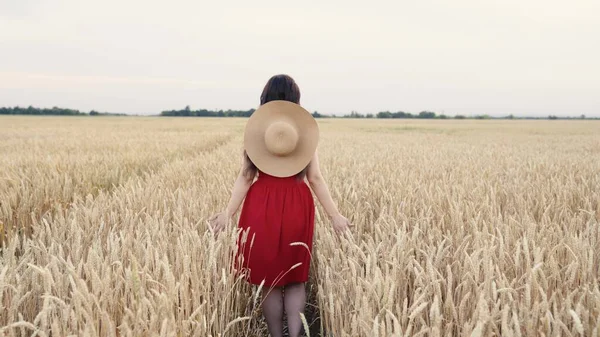 Uma menina livre em um vestido vermelho corre alegremente através de um campo de trigo ao ar livre. Uma agricultora toca as espigas de trigo com as mãos. Viaje pelo campo. Menina livre feliz corre através do campo. — Fotografia de Stock