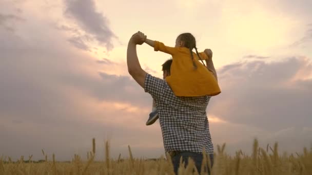 Petite fille sur les épaules des agriculteurs père. Bonne famille en vacances. Bébé et papa voyagent dans un champ de blé. Enfant et parent jouent dans la nature. Bonne famille et enfance. Mouvement lent — Video