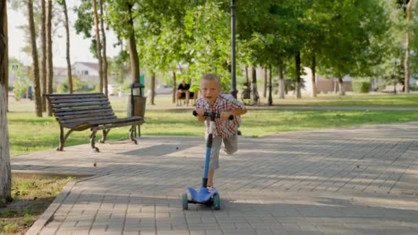 Petit garçon joue et monte en scooter. Week-end en famille dans le parc. Un enfant heureux joue dehors. Un enfant en bonne santé conduit un scooter le long de la rue de la ville. Le concept d'une enfance heureuse, famille, santé. — Video