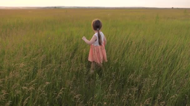 Niño, niña jugando en verano en el parque se ríe y aplaude. Una familia feliz. Feliz niña corre a través del campo con hierba verde en primavera, sueños de la infancia y fantasías. Alegre niño corre en verde hierba — Vídeo de stock