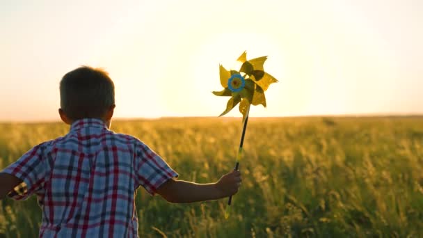 Kleine jongen rent met speelgoed windturbine in zijn hand op het zomerveld bij zonsondergang. Familie vakantie in de natuur. Gelukkig kind speelt met speelgoed pinwheel buiten in het voorjaar park in zonneschijn. Jeugd, kinderen — Stockvideo