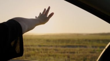 Özgür bir kadın araba kullanır, güneş ışığını yakalar ve elini arabanın camından çeker. Tatil, seyahat. Kız arabanın ön koltuğunda oturur, pencereye uzanır ve batan güneşin parıltısını yakalar..