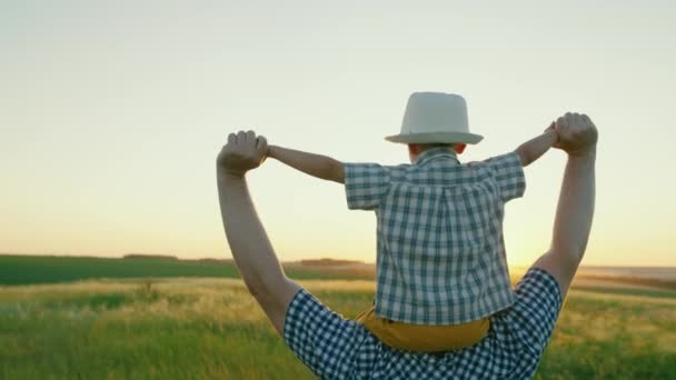 Padre camina con el bebé sobre sus hombros, levanta los brazos y vuela como un avión. Celebración familiar. Papá juega con su hijo amado, su hijo en el campo. Familia feliz en el parque en verano — Vídeos de Stock