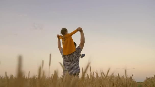 Perayaan keluarga bahagia. Anak dan orang tua bermain di alam. Anak perempuan di pundak ayah petani. Keluarga bahagia berlibur. Baby dan Dad bepergian di ladang gandum — Stok Video