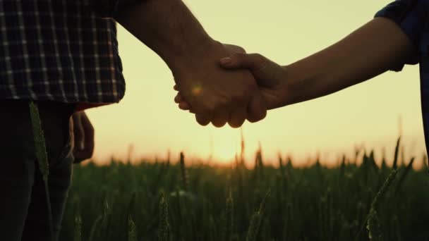 Business people shake hands outdoors in sun. Business, teamwork. Handshake, joint work of people. Partners agreed, concluding a deal, a sign of consent to shake hands. Women reach out to each other. — Stockvideo