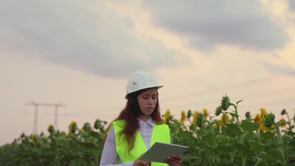 白いヘルメットのエネルギー女性は、タブレット上のデータを使用してひまわり畑の電力線をチェックします。環境に優しい電気エネルギー。日没時の高電圧電線。電気の供給. — ストック動画