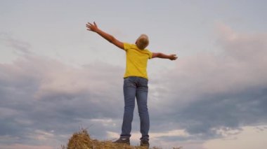 Mutlu çocuk yaz parkında ellerini mavi gökyüzüne kaldırdı. Çocuk yazın doğanın tadını çıkarıyor. Bir çocuk, çocuk, ailesi için dua eder. Doğada oynamak için mutlu çocukluk anları. Mutlu çocukluk, büyüyen çocuklar