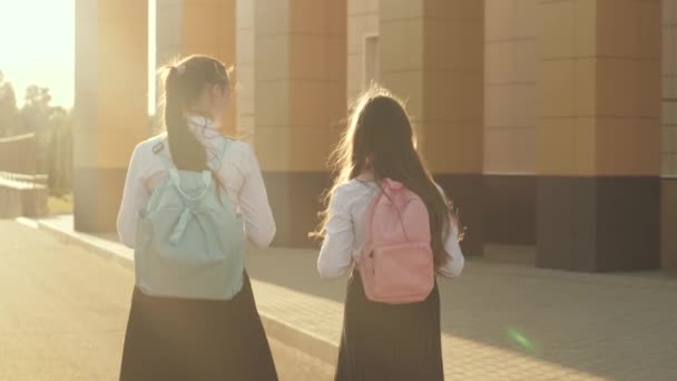 Sırt çantalı okul kızları sokakta okula gider. Eğitim konsepti. Kızlar okul bahçesinde sohbet eder ve konuşurlar. Kız arkadaşlar okula gider. Sağlıklı gençler açık hava derslerine giderler.. — Stok video