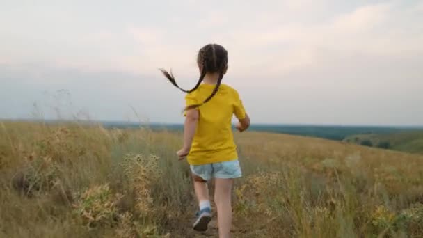 Dziecko biegnie przez boisko. Dzieciak sportu. Szczęśliwe dziecko biegnie wzdłuż drogi w żółtej trawie. Aktywne, wesołe dziecko. Mała dziewczynka śni jesienią w naturze. Fantazje o dzieciach. Szczęśliwa rodzina. — Wideo stockowe
