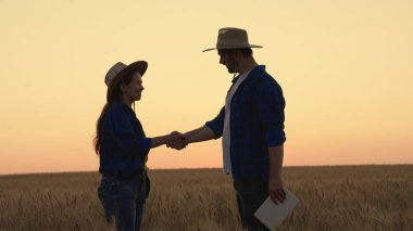 Çiftçiler buğday tarlasında çalışır ve sevinirler. Gün batımında buğday tarlasında çalışan aile çiftçilerinin silueti. Çavdar tarlasında tabletli iş adamları. Organik tarım, aile işi..
