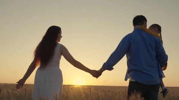 Feliz caminata familiar en el campo de trigo al atardecer. Padres y lindo bebé vacaciones en familia. Mamá, papá y su hija caminan tomados de la mano en el parque. Una familia de agricultores. Niño en brazos de papá, infancia feliz. —  Fotos de Stock