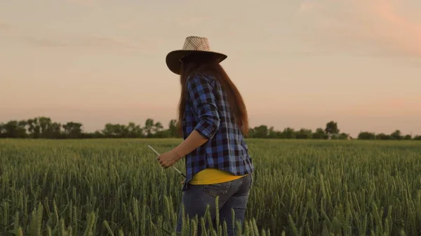 Kobieta rolnik z tabletką w ręku pracuje latem na polu pszenicy. Starszy rolnik, właściciel firmy z tabletkami na polu pszenicy. Agronomista z cyfrowym tabletem w rękach. Przedsiębiorczyni — Zdjęcie stockowe