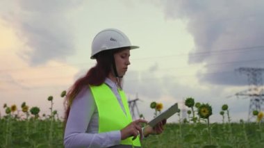 Güvenlik kaskındaki güç mühendisi kadın mühendis tabletteki verileri kullanarak ayçiçeği alanındaki güç hattını kontrol ediyor. Çevre dostu elektrik. Gün batımında yüksek voltajlı elektrik hatları. Güç arzı.