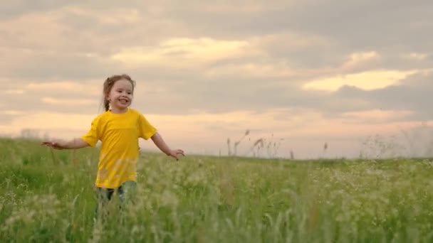 Szczęśliwe dziecko, dziewczyna biegnie w zielonej trawie, podnosząc ręce, radość, uśmiech. Szczęśliwa dziewczynka marzy o lataniu w naturze. Fantazje o dzieciach. Dziecko biegnie przez pole kwiatów. Szczęśliwa rodzina — Wideo stockowe