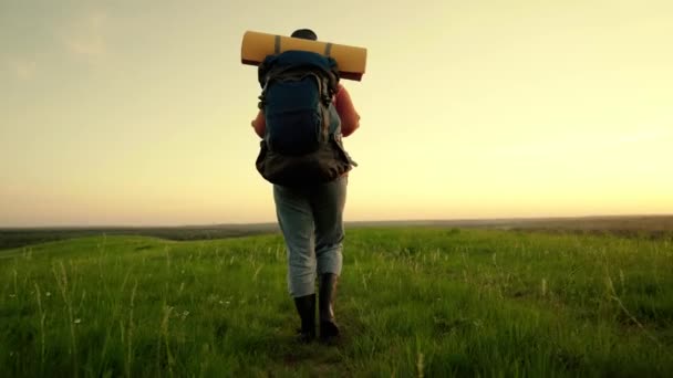 Une jeune femme caucasienne active avec un sac à dos part en randonnée. Femme voyageuse libre marchant dans la prairie en été. Fille voyageur voyage le long du sommet de la colline verte au soleil, méditation, écotourisme, randonnée — Video