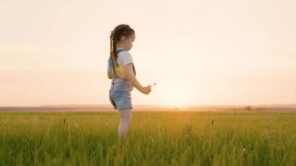 幸せな家族、子供時代。幸せな子供、女の子は公園で緑の芝生の上で実行され、フィールド上の花を収集し、子供の笑顔。子供のための健康的な屋外ゲーム。幼少期の夢。娘は屋外で楽しんでる. — ストック写真