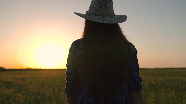 Une agricultrice marche en bottes sur le champ de blé au coucher du soleil, l'agriculteur observe les épis de blé dans le champ au soleil, vérifiant la récolte. Entreprise agricole. Grandir du grain, de la nourriture. Femme d'affaires à la plantation — Photo