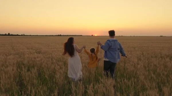 Heureuse famille avec leur fille courir tenant la main dans le champ de blé. Papa, enfant, maman marchent et s'amusent ensemble sur le terrain au soleil. Famille d'agriculteurs. Parents, enfant autochtone jouant à l'extérieur — Photo