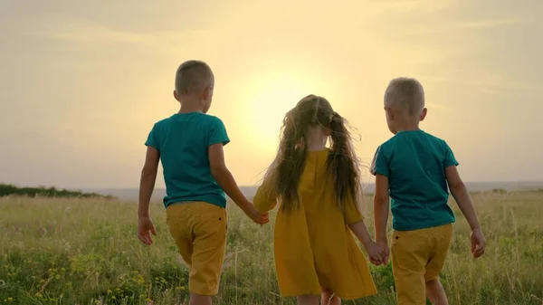 Happy family children, boys and girl are walking across field holding hands. Group of children play together in summer park in sun. Happy childhood, friends travel in nature, childrens dreams — Stock Photo, Image