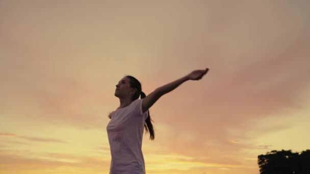 Ung kvinna njuter av en lugn kväll i naturen, andas frisk luft, i sommarparken. Lycka under himlen. Begreppet frihet. Gratis glad ung flicka turist tittar upp med upphöjda händer. — Stockvideo