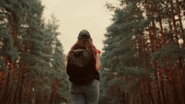 Jovem Caminhada na Floresta no Outono. Mulher caucasiana saudável ativa com uma mochila tomando em madeira. Viajante feminino com passeios ao longo da floresta vista traseira, lazer, bio-turismo, Caminhadas. Movimento lento — Vídeo de Stock