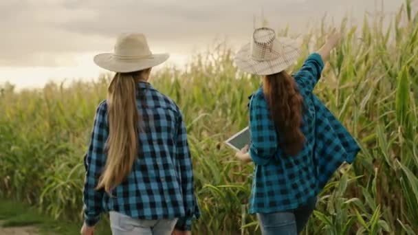 Farmářský obchodník mluví v kukuřičném poli, uzavírá dohody, používá počítačový tablet. Pěstuje jídlo. Partner. Dvě farmářky s digitálními planetami, pracující společně na poli kukuřice. Zemědělský podnikatelský koncept — Stock video