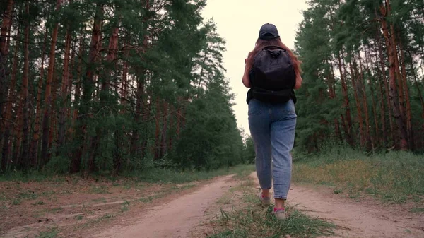 Donna caucasica sana attiva con uno zaino che prende in legno. Giovane donna Escursioni nella foresta in autunno. Viaggiatore femminile con passeggiate lungo la foresta vista posteriore, tempo libero, bio-turismo, Escursionismo. Rallentatore — Foto Stock