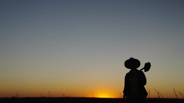 Silhouet Een vrouwelijke boer met een schop in haar handen gaat door het veld van het werk. Een arbeider met een schop loopt bij zonsondergang door de plantage. Landbouwbedrijf, landbouw. Groenten verbouwen — Stockvideo