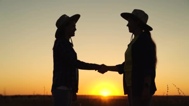 Partners agreed, concluding a deal, a sign of consent to shake hands. Handshake, joint work of people. Business people shake hands outdoors in sun. Business, teamwork. Women reach out to each other. — Stock Video