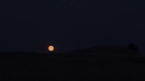 月亮升 — 图库视频影像