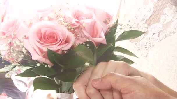 Rosa blommor i en hand — Stockvideo