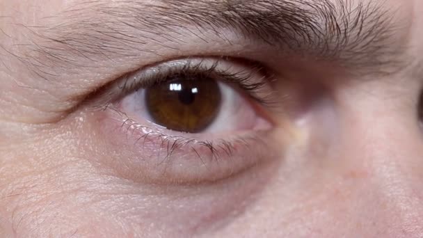 Ojos de hombre marrón con cejas negras — Vídeos de Stock