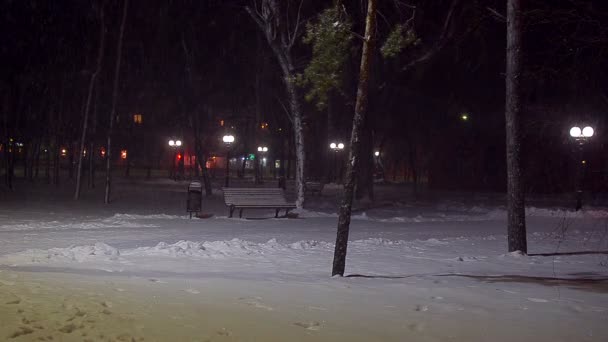 Det snöar på natten i park — Stockvideo