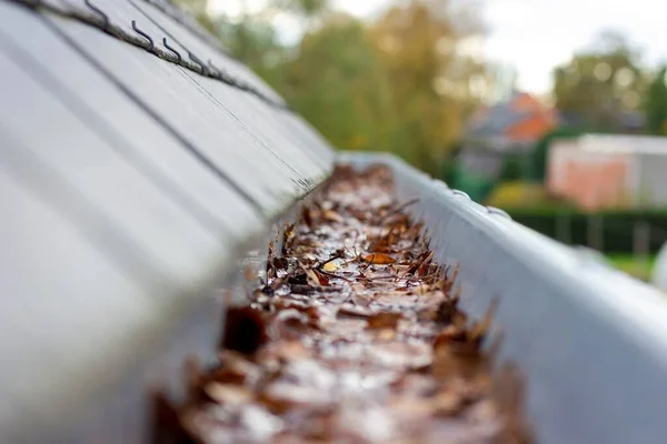 Portrait Clogged Roof Gutter Filled Water Autumn Leaves Water Cannot — Stock Photo, Image