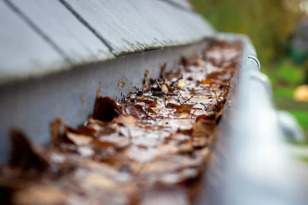 Portret Rynny Dachu Zapchanego Przez Wiele Upadłych Jesiennych Liści Wiszących — Zdjęcie stockowe